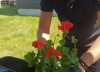 Pracowicie w naszym ogrodzie