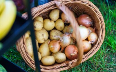 Warsztaty kulinarne od kuchni