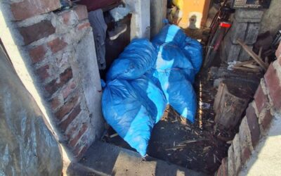 Surową zimę mogą ogrzać Wasze gorące serca!