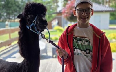 Kolejne spotkanie ze zwierzętami – puszyste alpaki