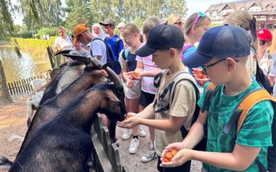 Warsztaty, spacer, zwierzęta i park rozrywki, czyli intensywny dzień na półkoloniach