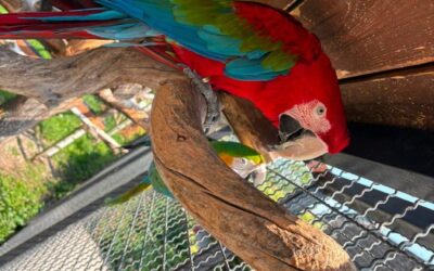 Spotkanie z mieszkańcami… ogrodu zoologicznego!
